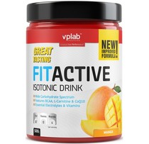 Fit Active Isotonic Drinc (500g)